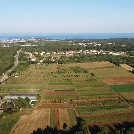 App Leon Apartmán Umag